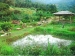 桃米生態村