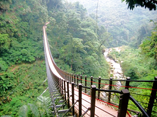 竹山天梯(梯子吊橋)