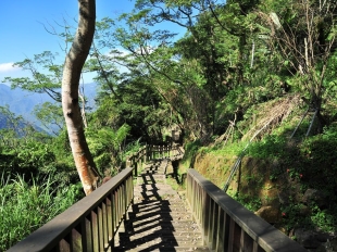 挑炭古道