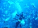 國立海洋生物博物館